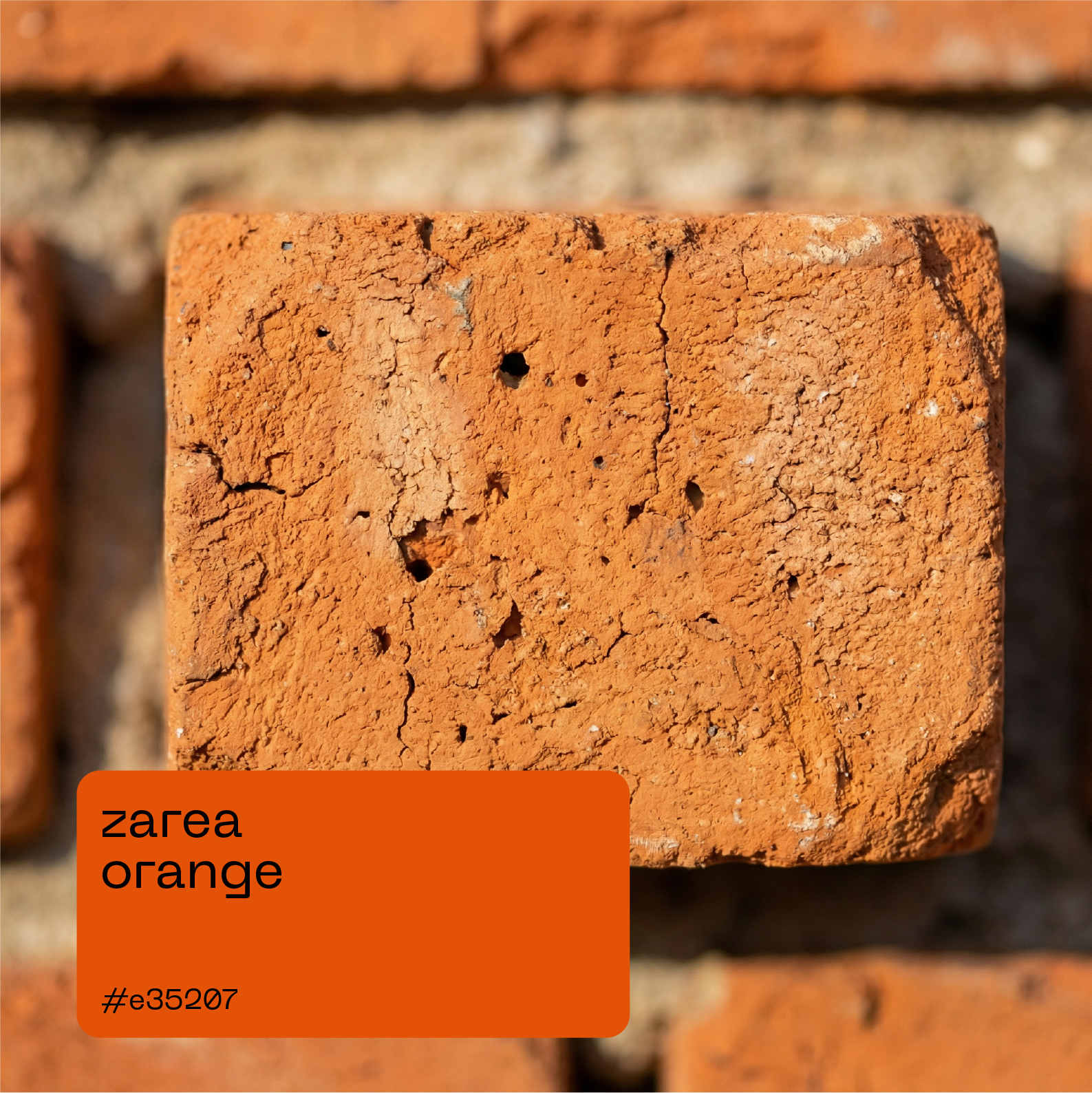 Zarea brand card orange